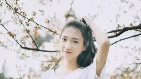 西藏游客安全返程