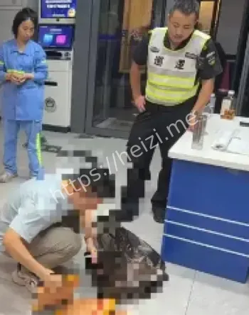 山东淄博女子误扔万元现金